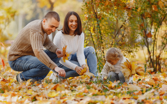 The Best Travel Medical Insurance for Fall Trips | Insubuy