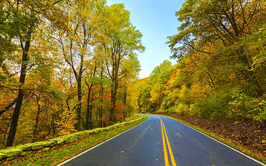 Shenandoah National Park Travel Insurance